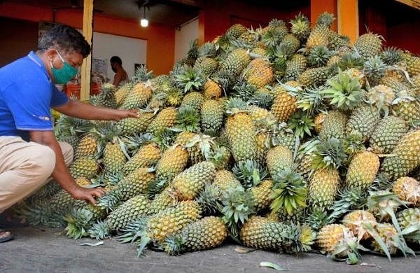 pic