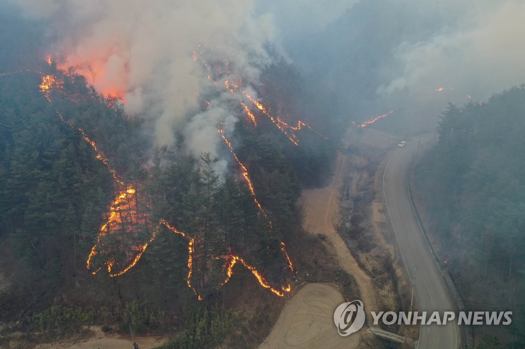 풍향 바뀌어 남진하는 울진·삼척 산불
(울진=연합뉴스) 5일 경북 울진군 북면 하당리의 한 야산에 불길이 되살아나고 있다. 산림 당국은 이날 오전 바람 방향이 바뀌어 북진하던 산불이 다시 남진한다고 밝혔다. 2022.3.5