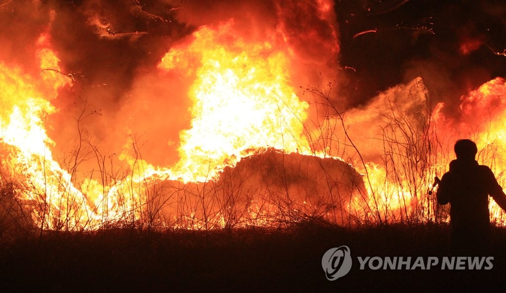 이틀째 이어지는 산불
(동해=연합뉴스) 지난 4일 강릉시 옥계면에서 발생한 산불이 확산하면서 큰 피해가 발생한 가운데 5일 밤 동해시 대진동까지 번진 산불이 이틀째 이어지고 있다.